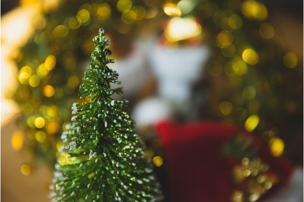 The Best Time to Buy Christmas Trees and What it Means for Your New Year's Eve Plans