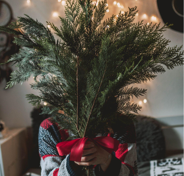 The Charm of Green Artificial Christmas Trees